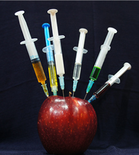 Container - 2024-11-20T181929.670